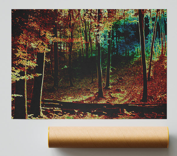 Rainbow Forrest 03 Print