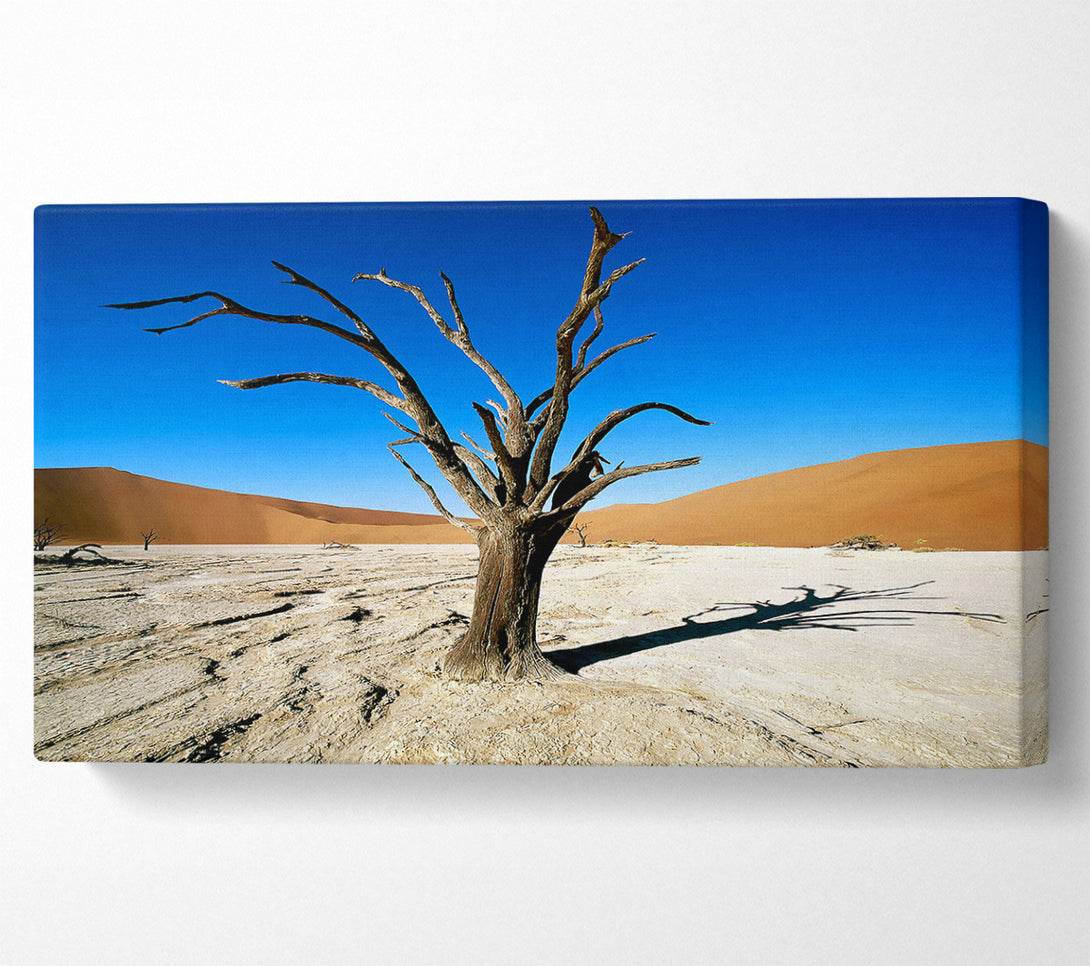  A Canvas Print of Desert Tree Branches Canvas Print