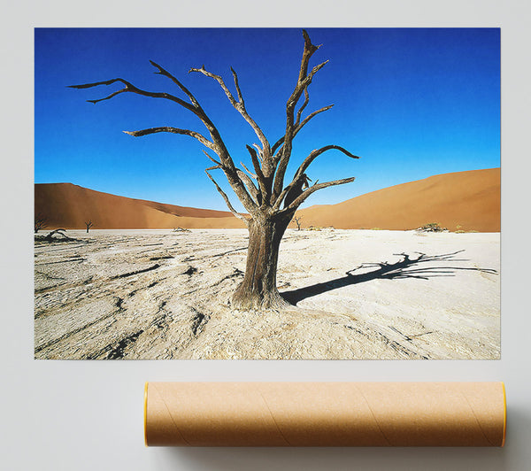 Desert Tree Branches Giclee Print