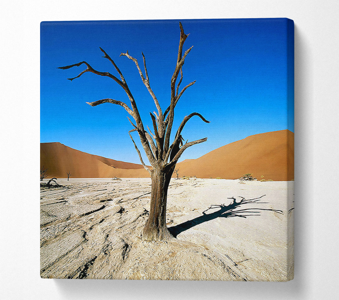  A Canvas Print of Desert Tree Branches Canvas Print