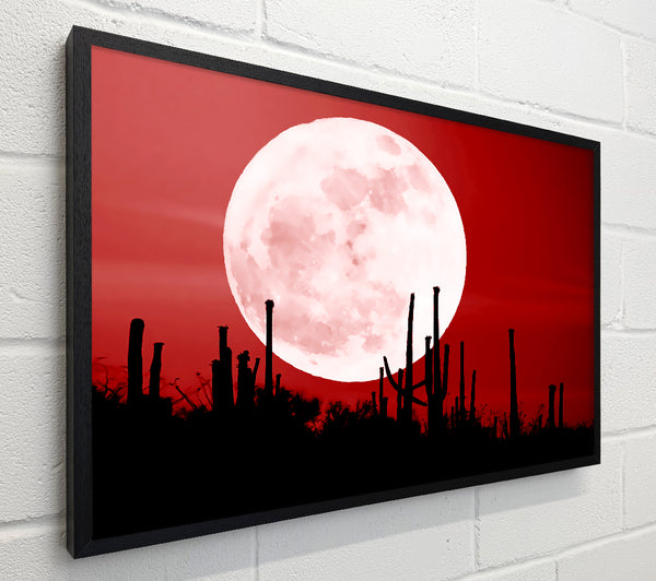 Red Cactus Moon