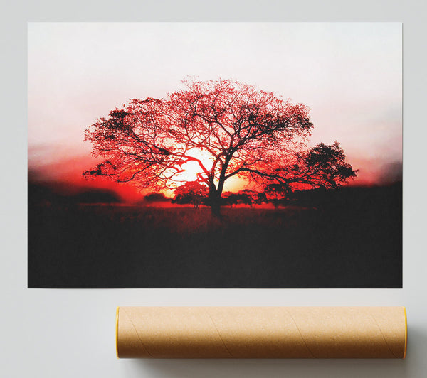 Red Sunrise Oak Tree Poster