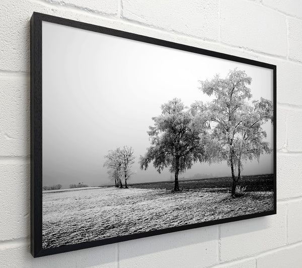 Winter Mist B n W