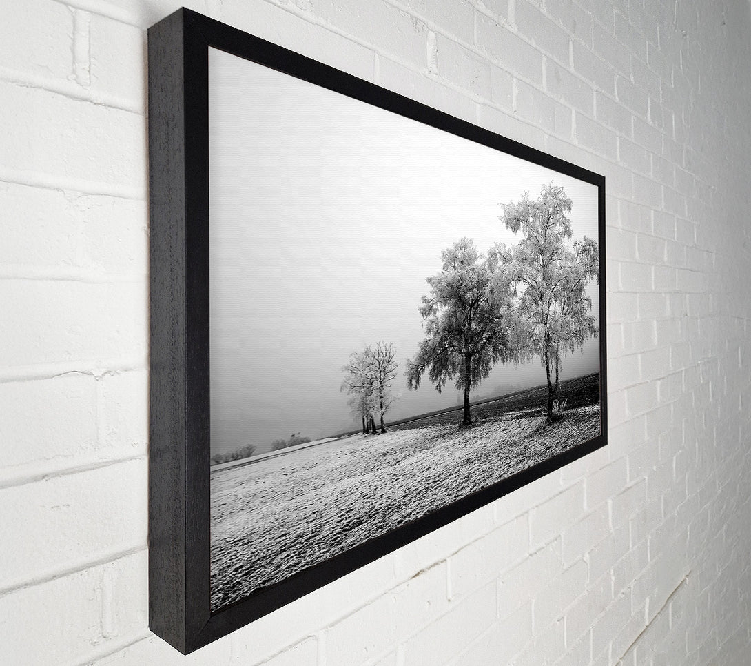  A Canvas Print of Winter Mist B n W Canvas Print