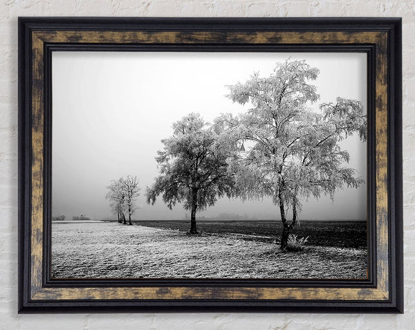Winter Mist B n W Framed Print