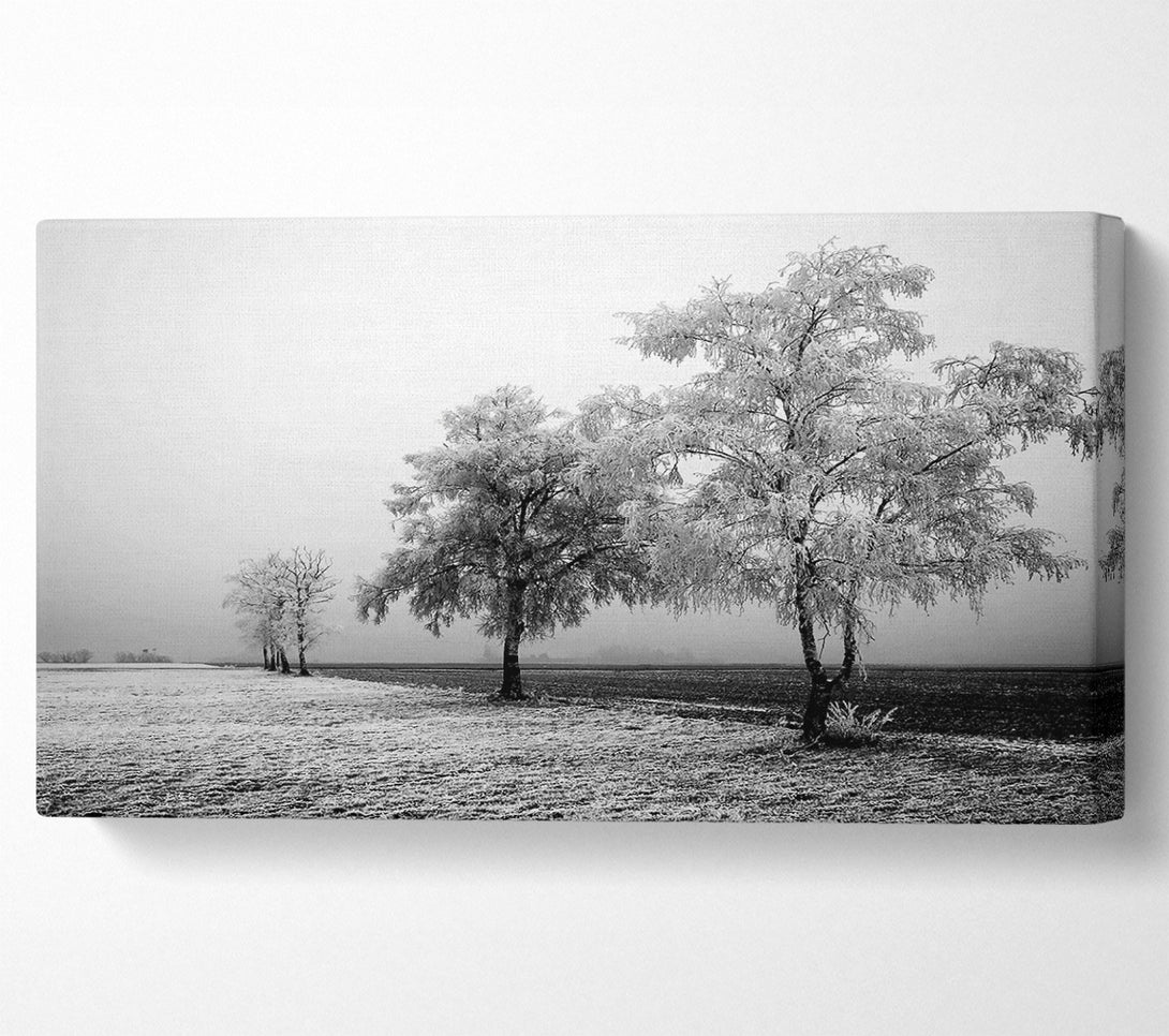  A Canvas Print of Winter Mist B n W Canvas Print