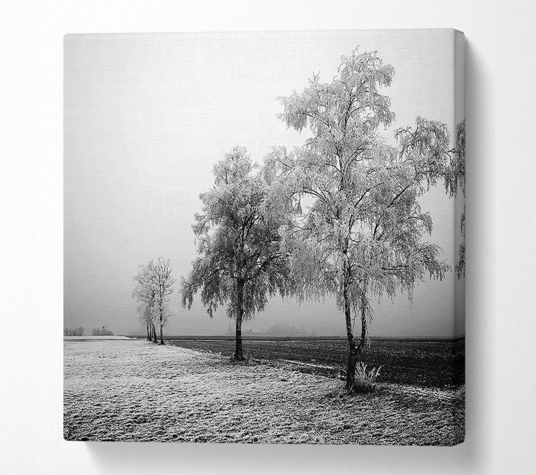  A Canvas Print of Winter Mist B n W Canvas Print