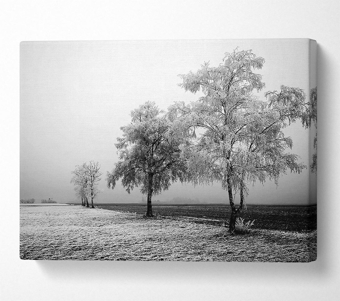  A Canvas Print of Winter Mist B n W Canvas Print