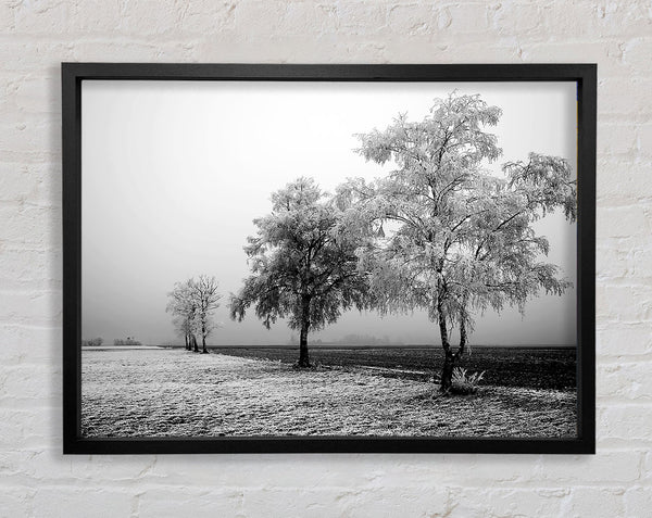 Winternebel B n W