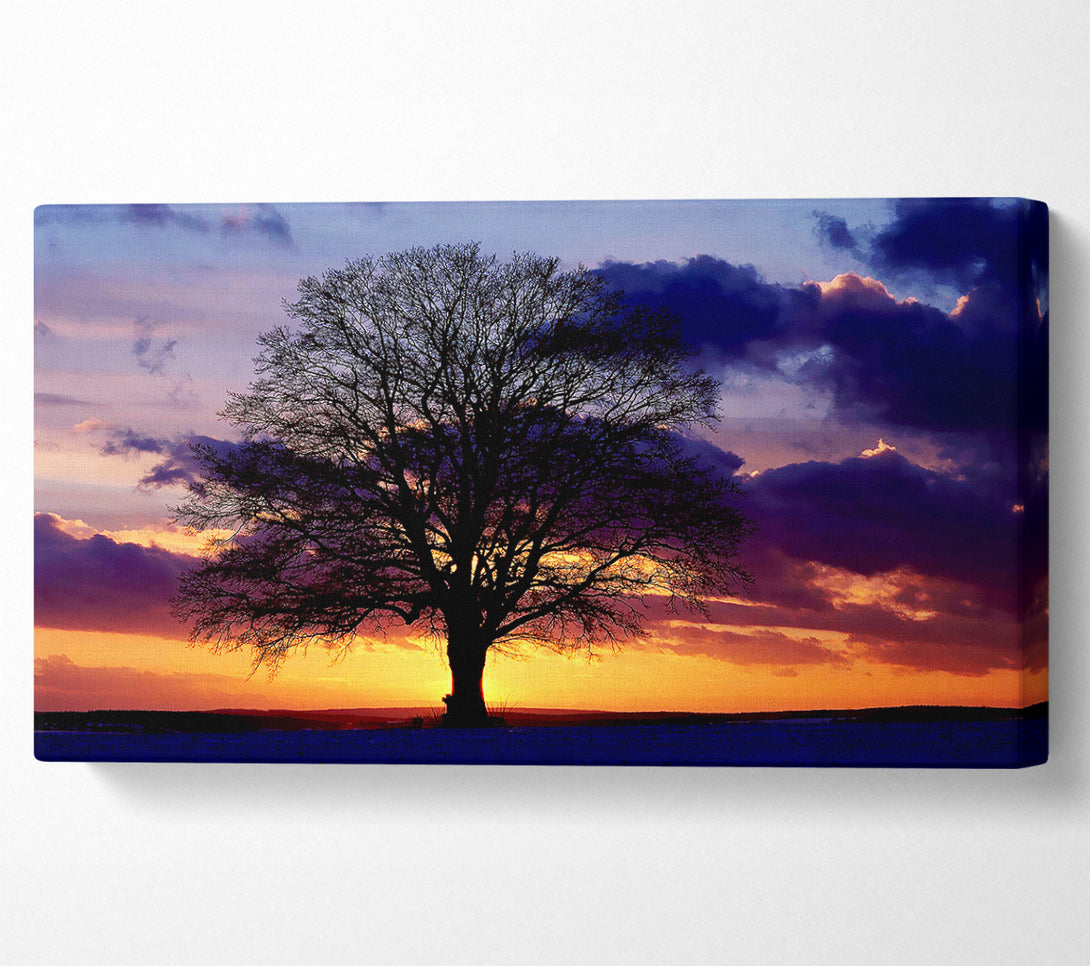  A Canvas Print of Oak Trees Light Canvas Wall Art