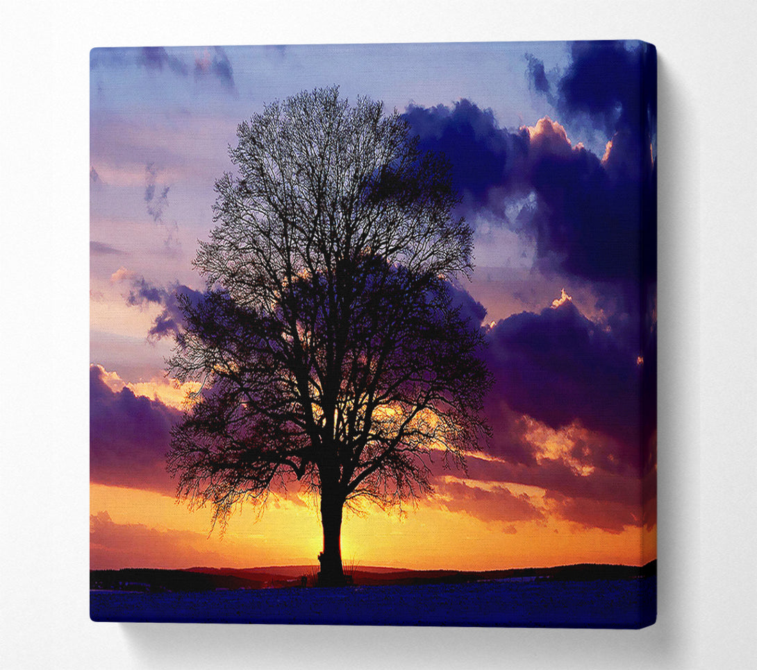  A Canvas Print of Oak Trees Light Canvas Wall Art