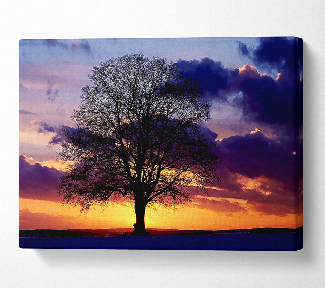  A Canvas Print of Oak Trees Light Canvas Wall Art