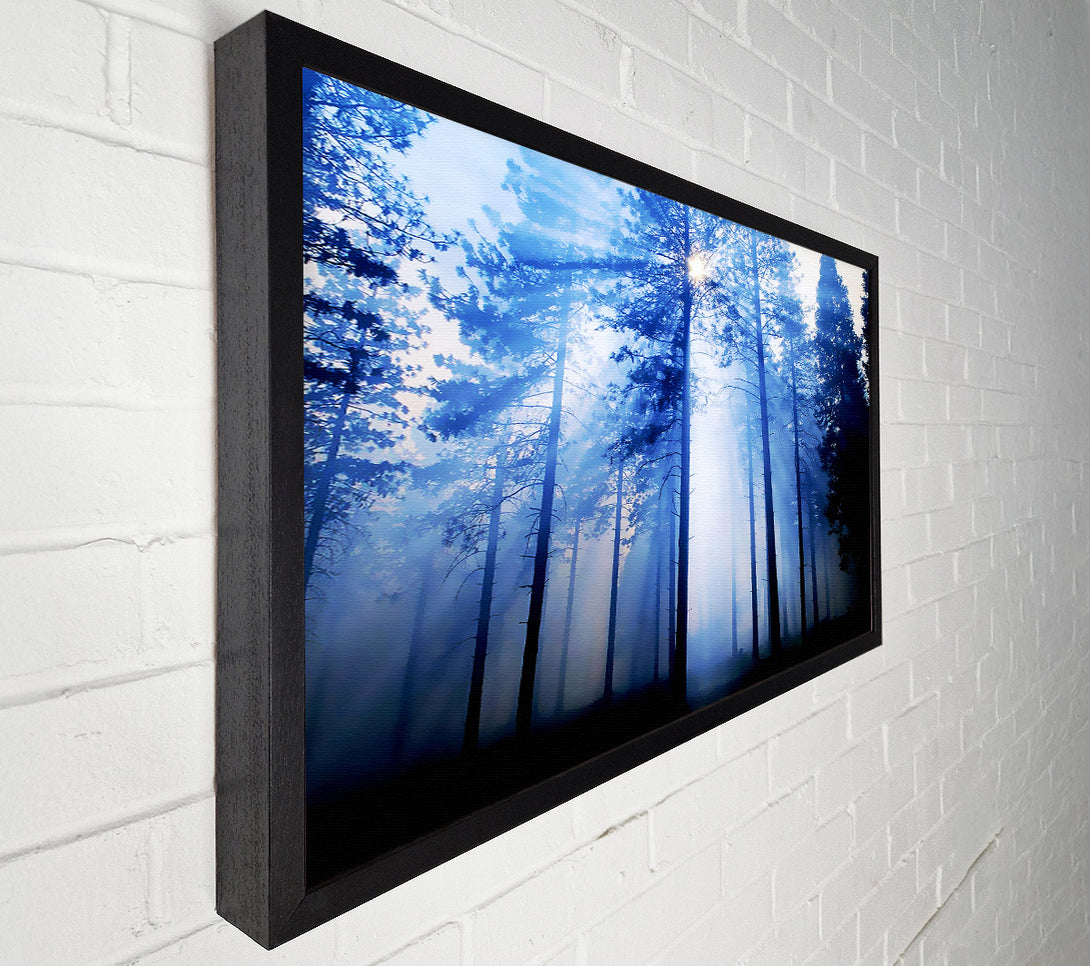  A Canvas Print of Sunlight Mist Through The Trees Canvas Print