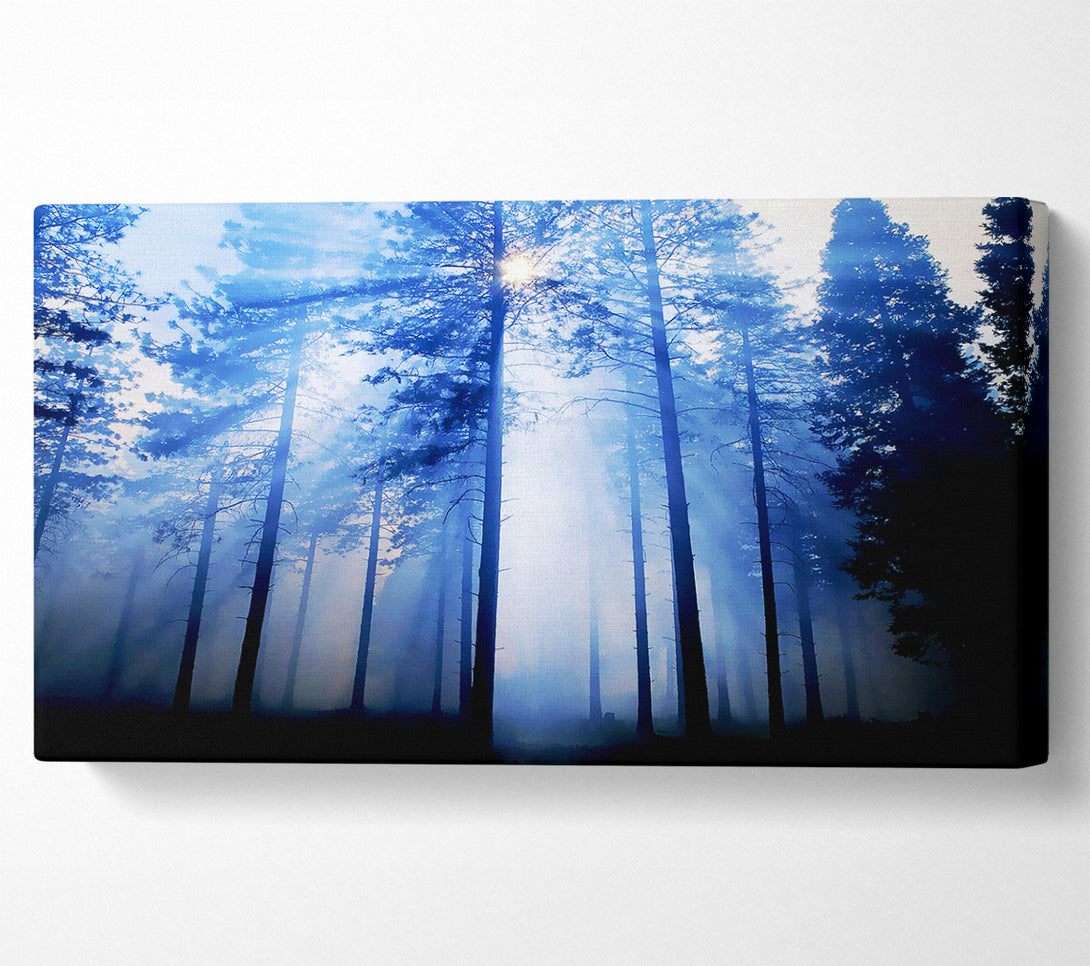  A Canvas Print of Sunlight Mist Through The Trees Canvas Print