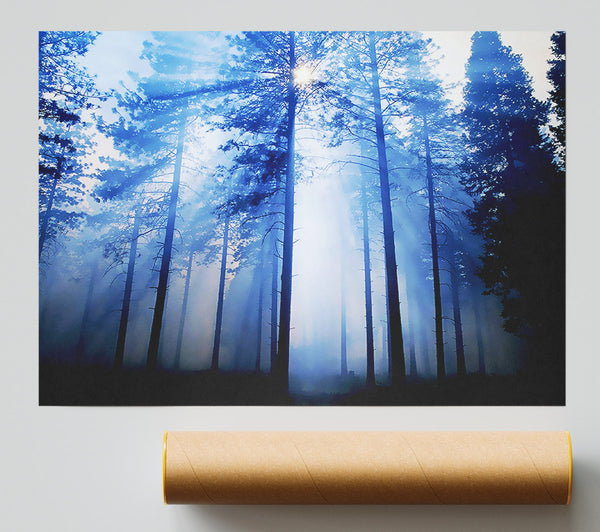 Sunlight Mist Through The Trees Giclee Print
