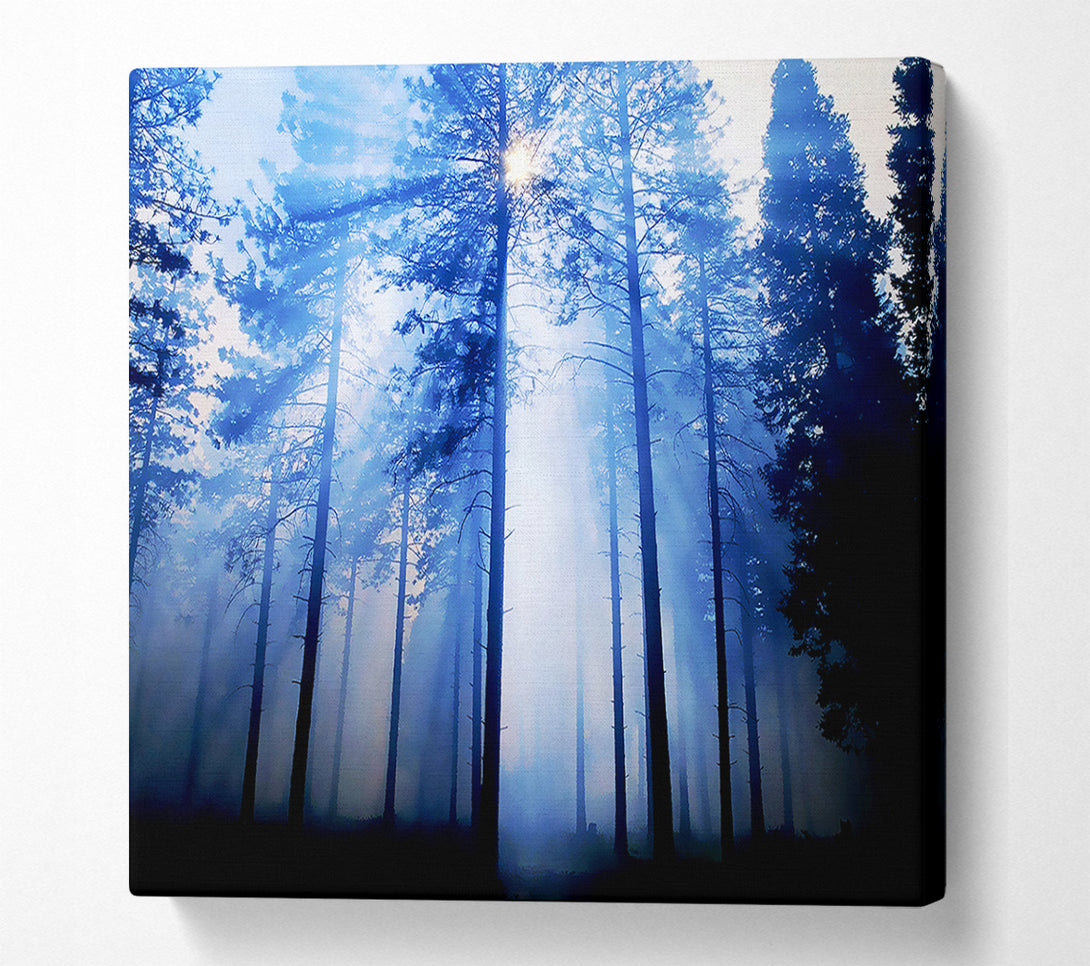  A Canvas Print of Sunlight Mist Through The Trees Canvas Print