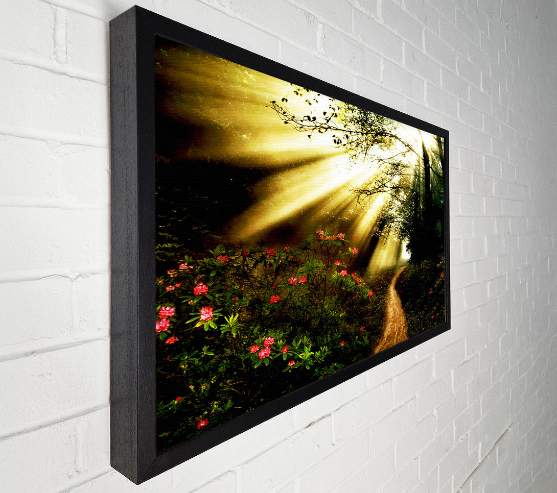  A Canvas Print of Mystical Garden Path Canvas Art