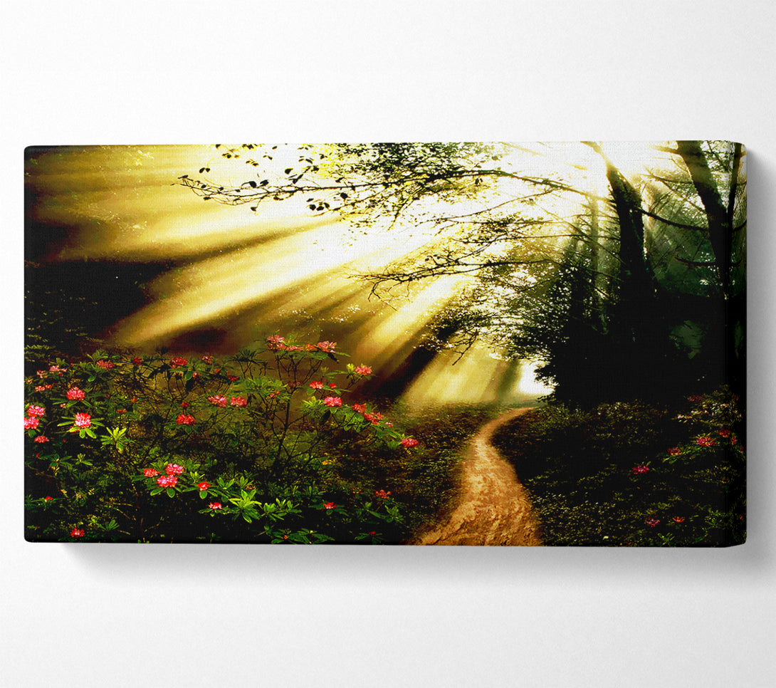  A Canvas Print of Mystical Garden Path Canvas Art
