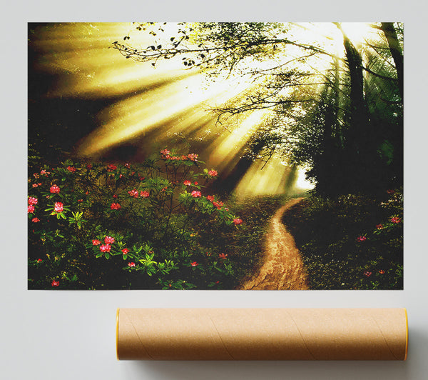 Mystical Garden Path Poster