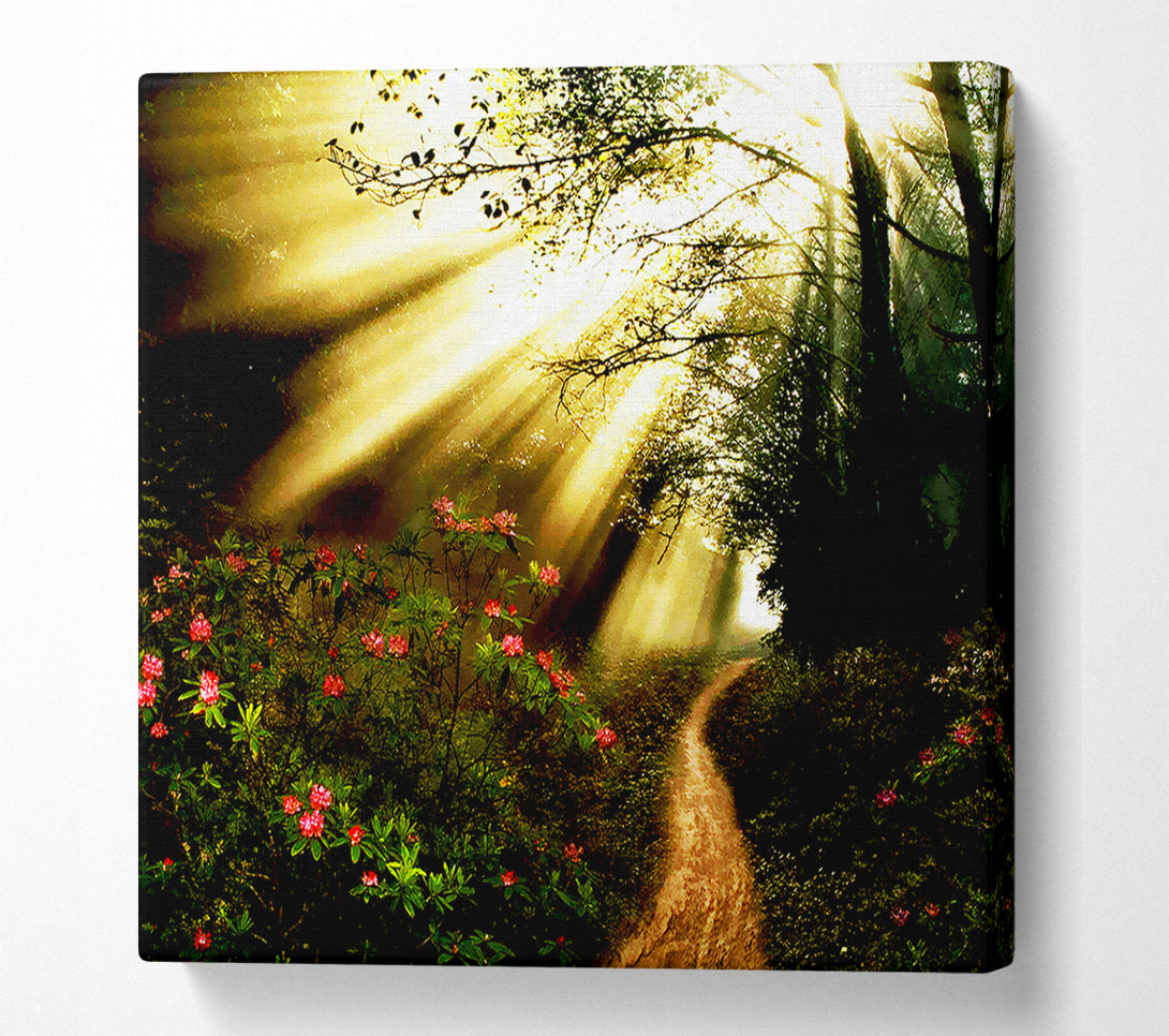  A Canvas Print of Mystical Garden Path Canvas Art