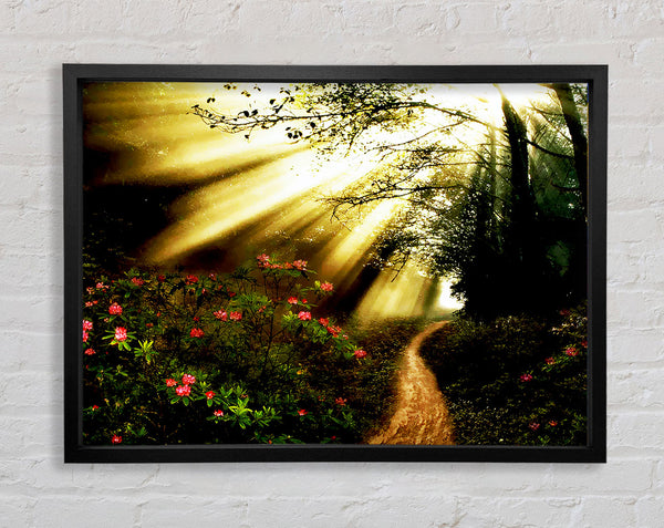 Mystical Garden Path Framed Print