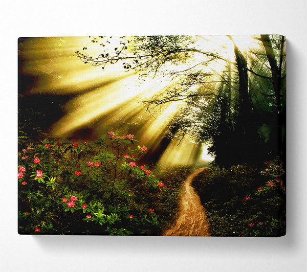  A Canvas Print of Mystical Garden Path Canvas Art