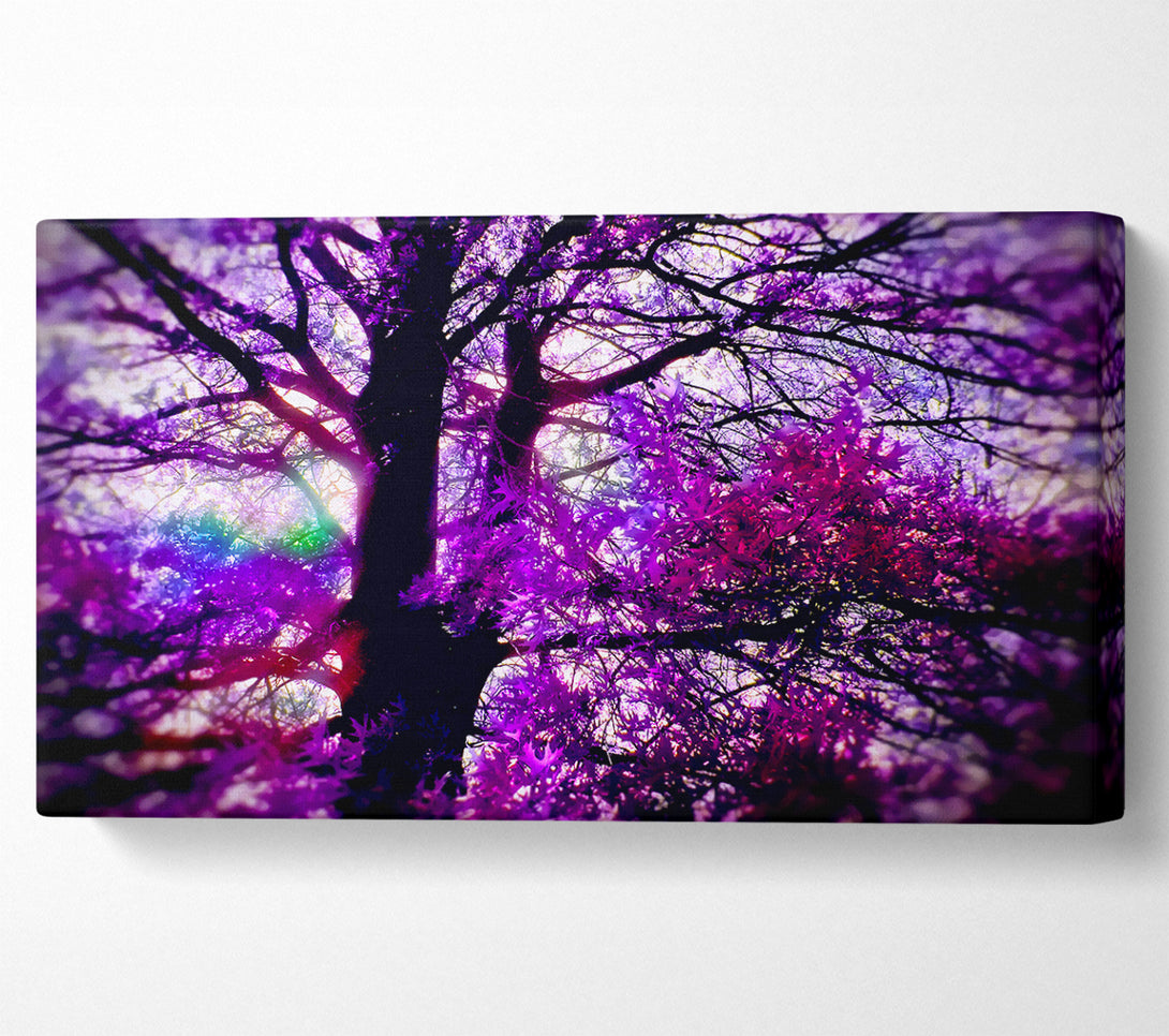  A Canvas Print of Psychedelic Tree Canvas Art