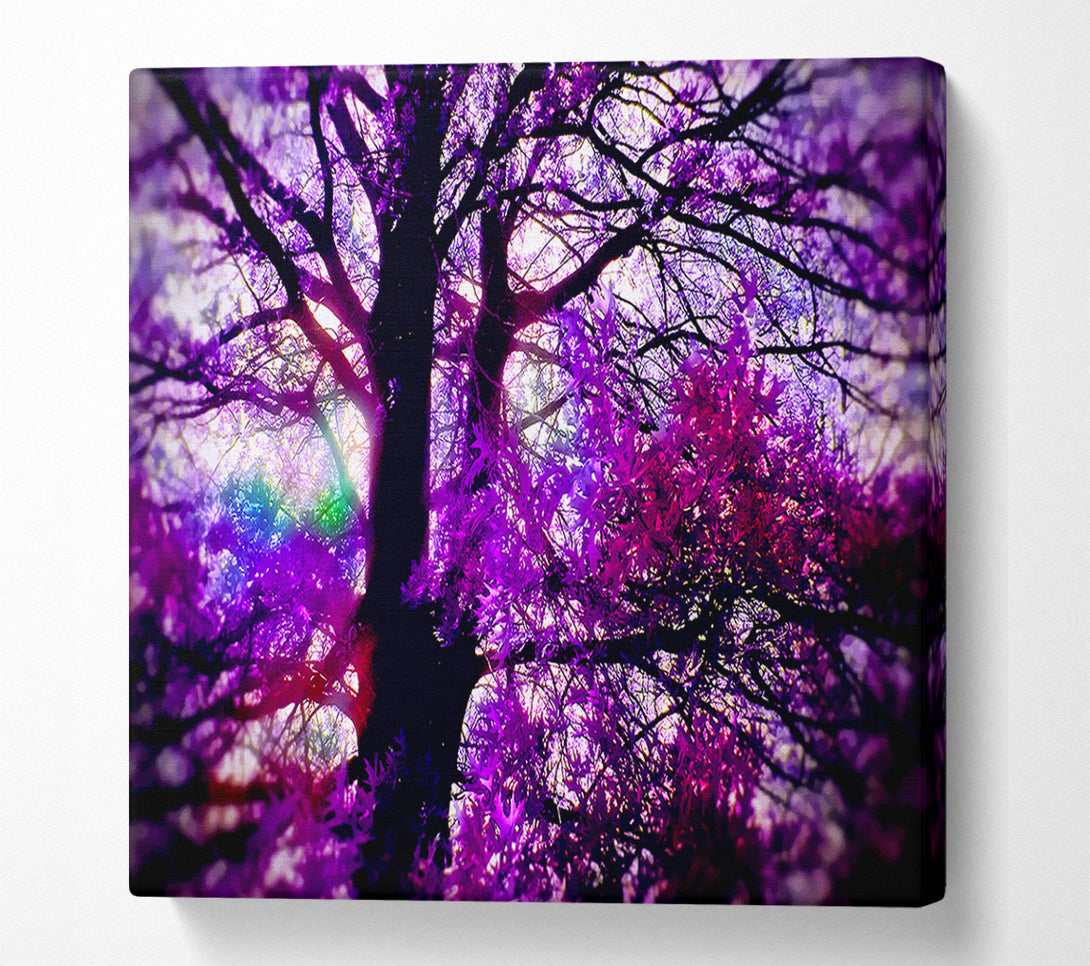  A Canvas Print of Psychedelic Tree Canvas Art