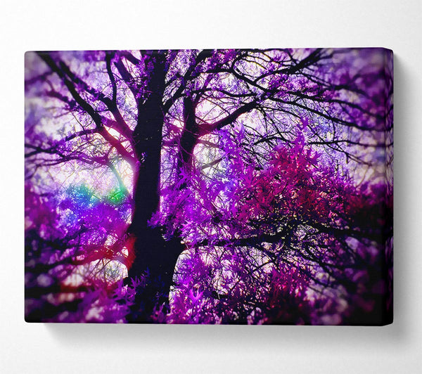  A Canvas Print of Psychedelic Tree Canvas Art