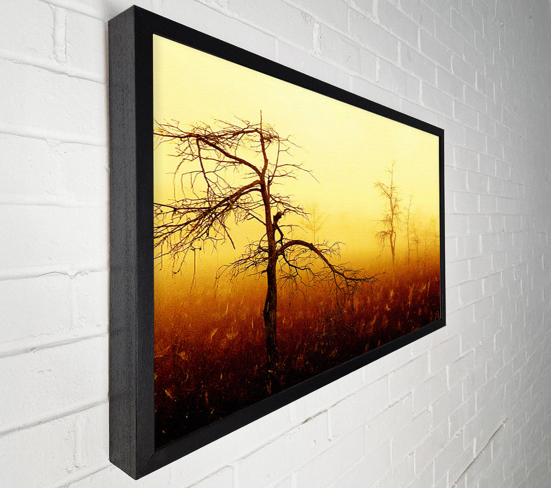  A Canvas Print of Treeline Mist Canvas Print