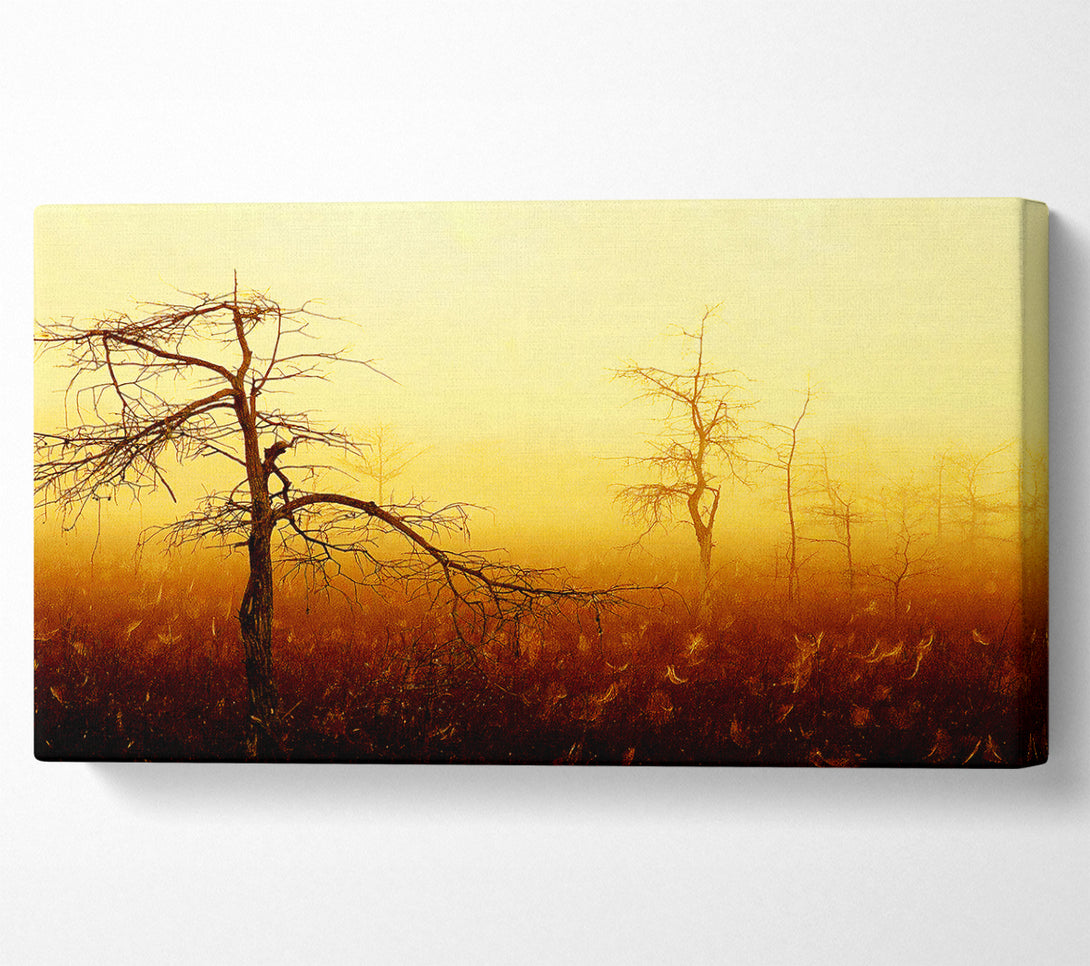  A Canvas Print of Treeline Mist Canvas Print