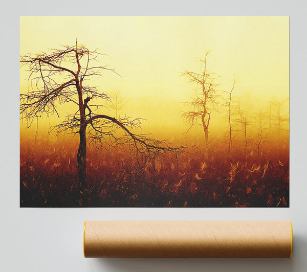 Treeline Mist Print