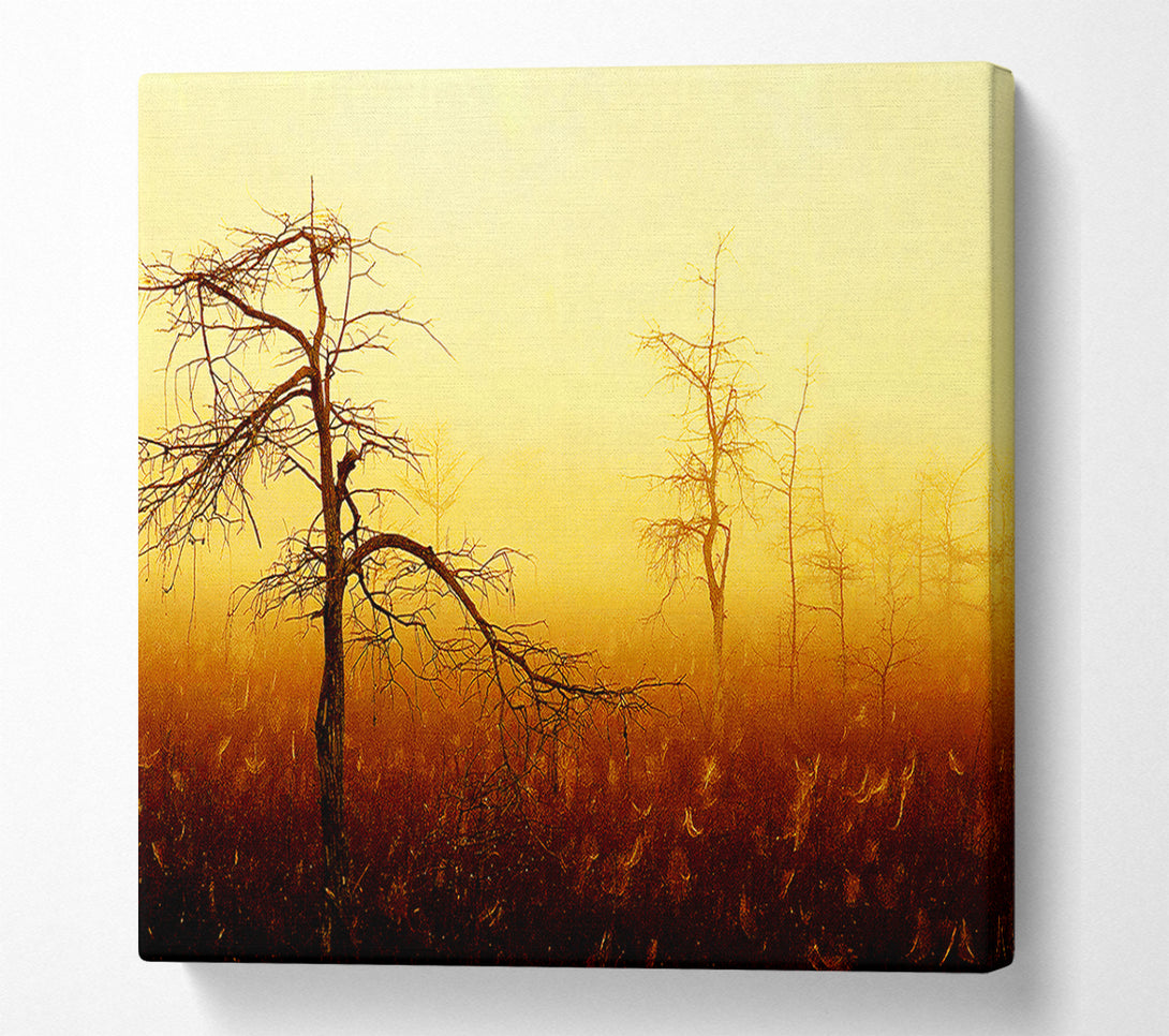  A Canvas Print of Treeline Mist Canvas Print
