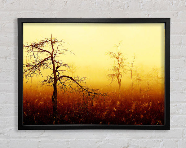 Treeline Mist Framed Print