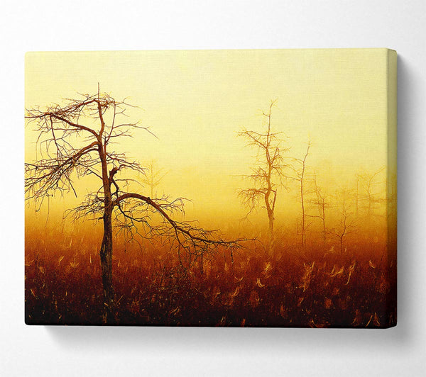  A Canvas Print of Treeline Mist Canvas Print