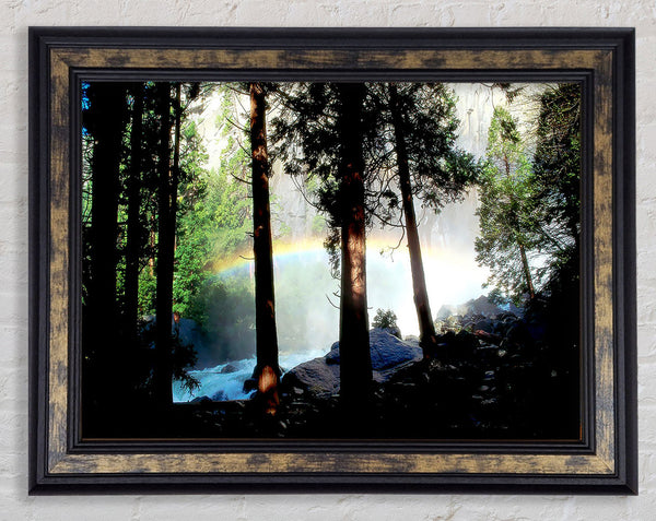 Rainbow In The Woodland Framed Print