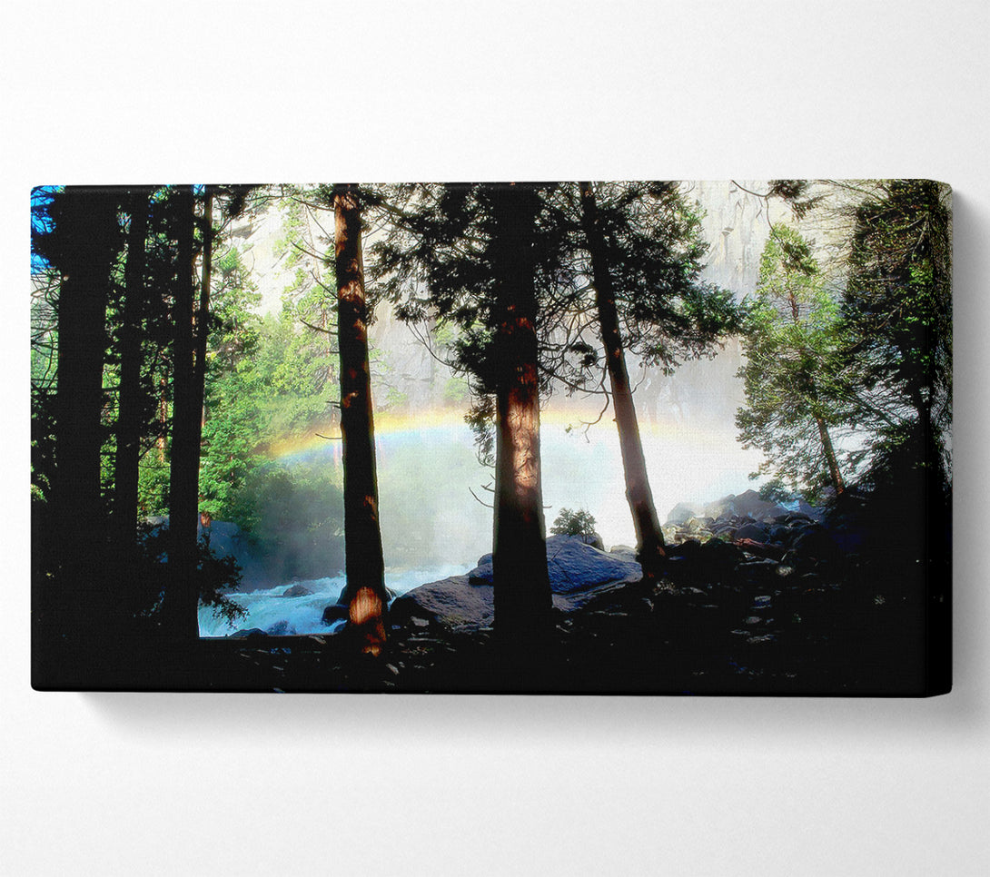  A Canvas Print of Rainbow In The Woodland Canvas Art