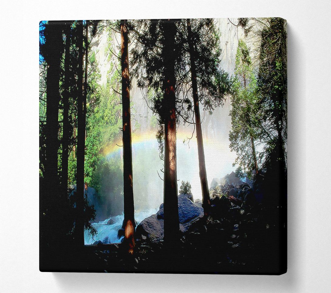  A Canvas Print of Rainbow In The Woodland Canvas Art
