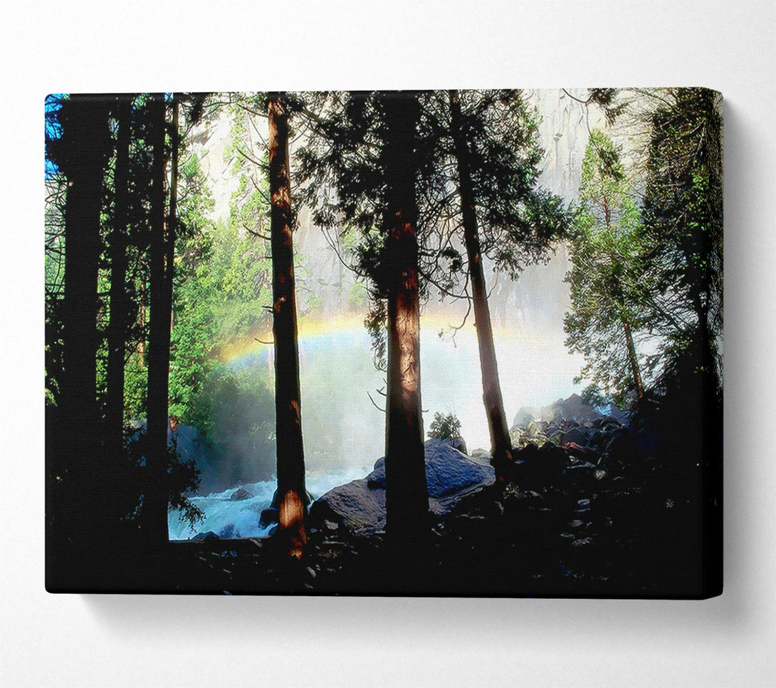  A Canvas Print of Rainbow In The Woodland Canvas Art