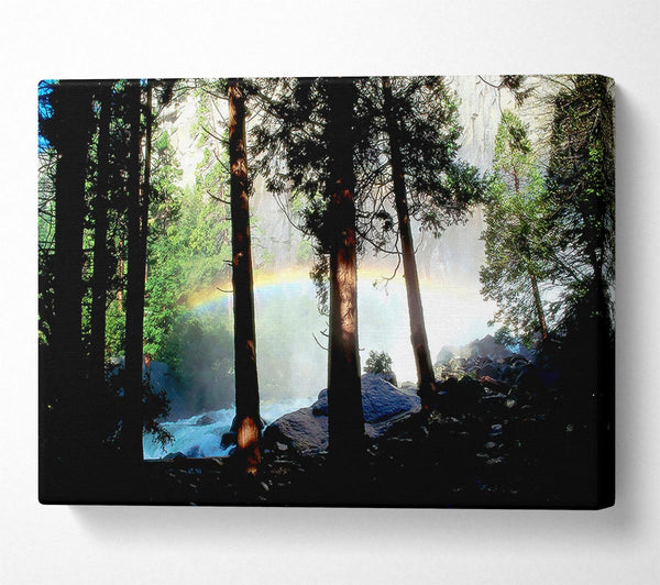  A Canvas Print of Rainbow In The Woodland Canvas Art