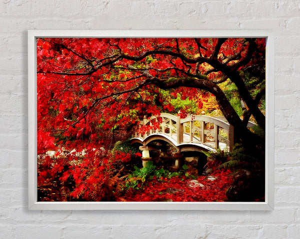Bridge Over The Red Tree River Framed Print