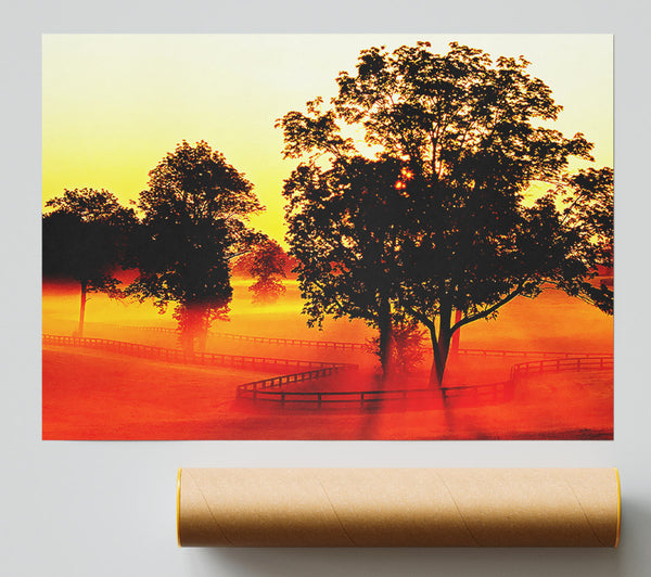 Orange Treeline Mist Poster