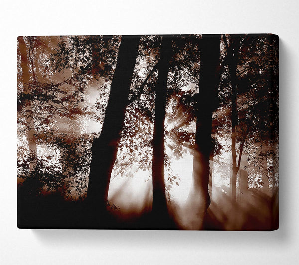  A Canvas Print of Sunrays Through The Woodland Brown Canvas Art