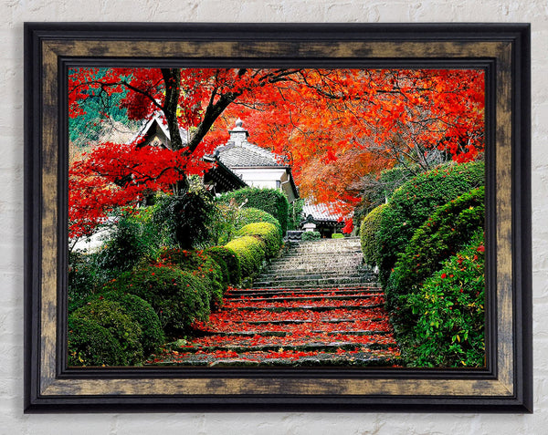 Red Autumn Garden Framed Print