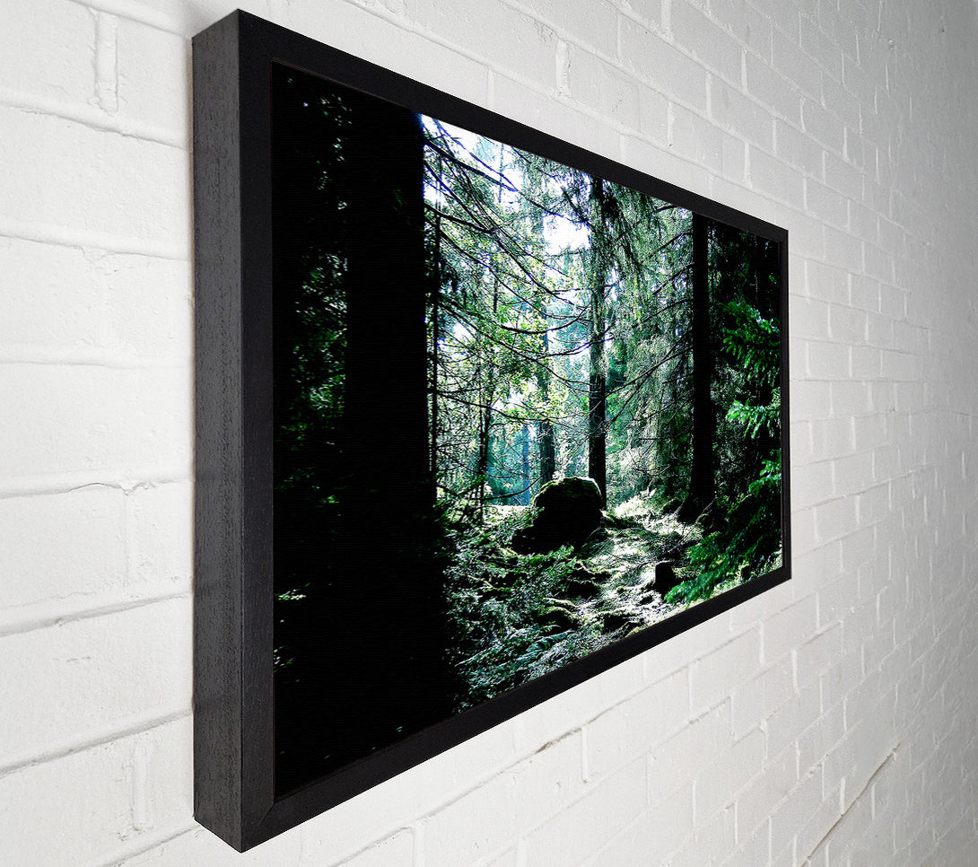 A Canvas Print of Trickling Stream Canvas Wall Art