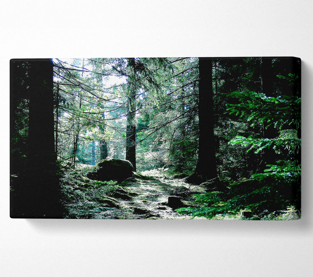  A Canvas Print of Trickling Stream Canvas Wall Art