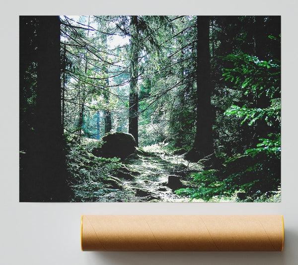 Trickling Stream Giclee Print