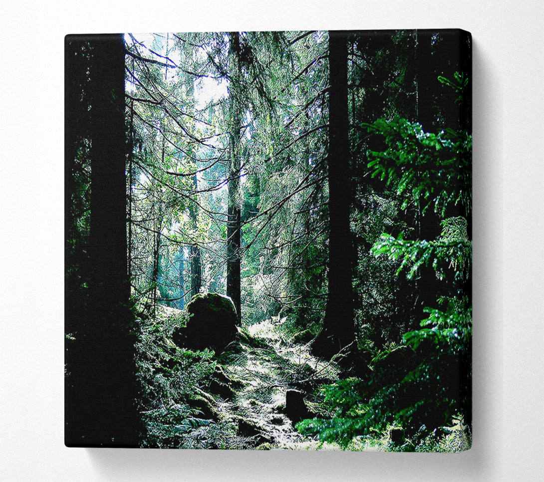  A Canvas Print of Trickling Stream Canvas Wall Art