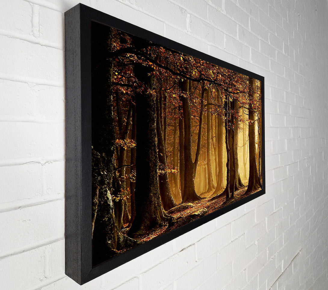  A Canvas Print of Land Of Trees Canvas Wall Art