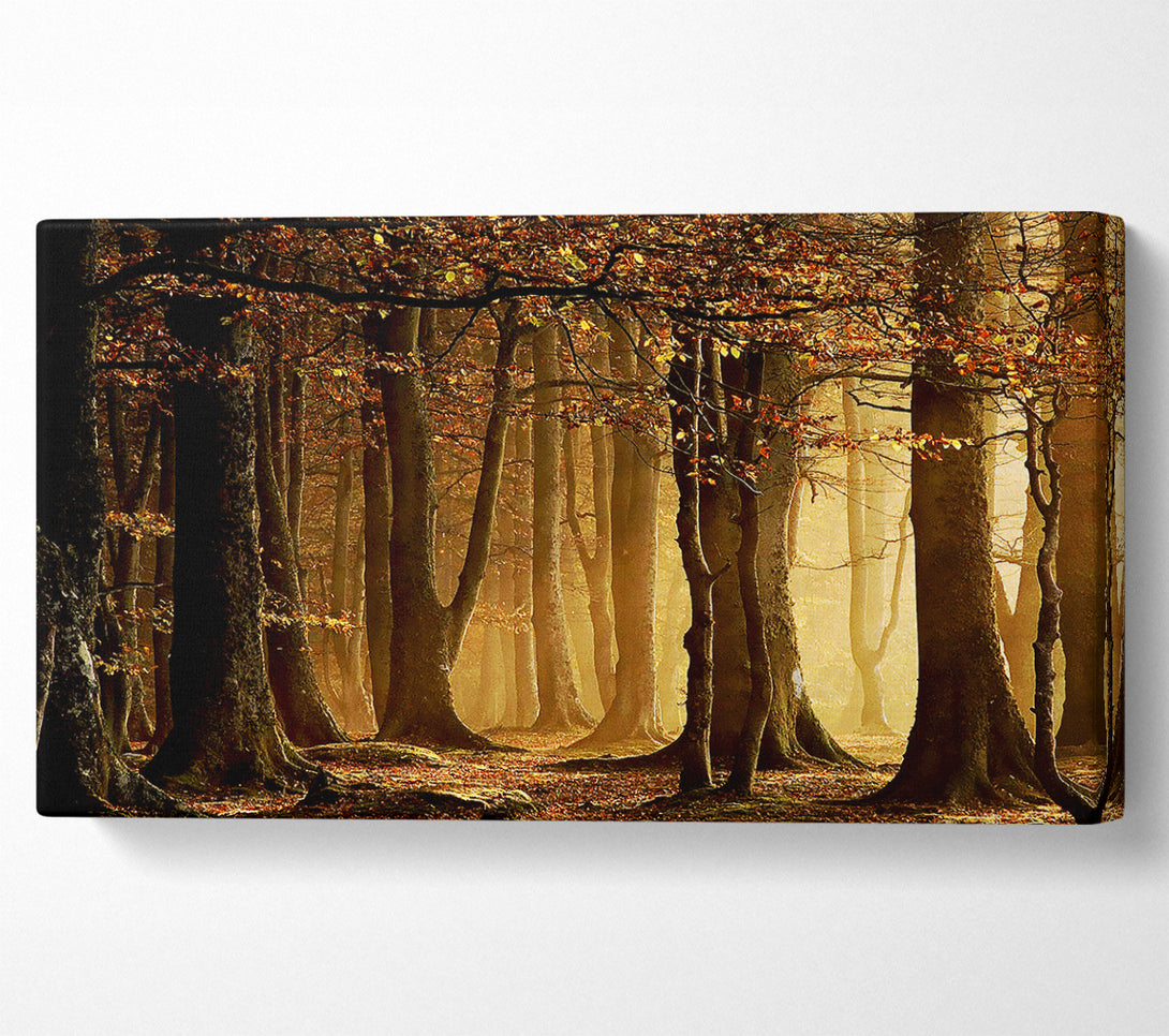  A Canvas Print of Land Of Trees Canvas Wall Art